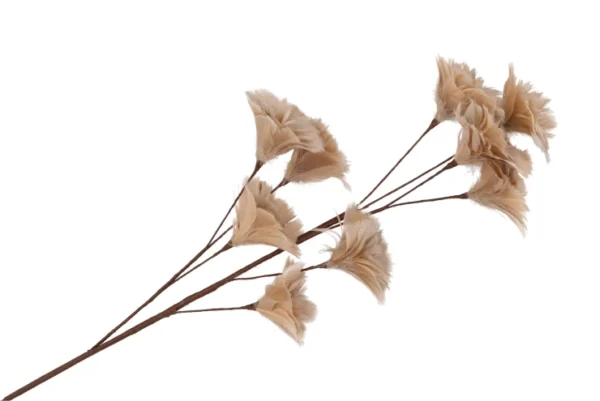 Feather flowers beige