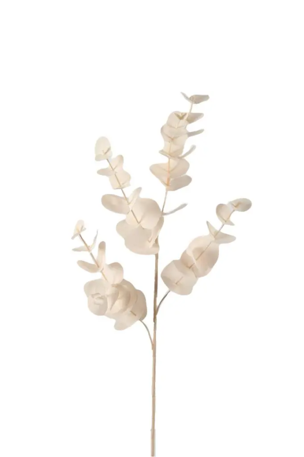 Eucalyptus crème