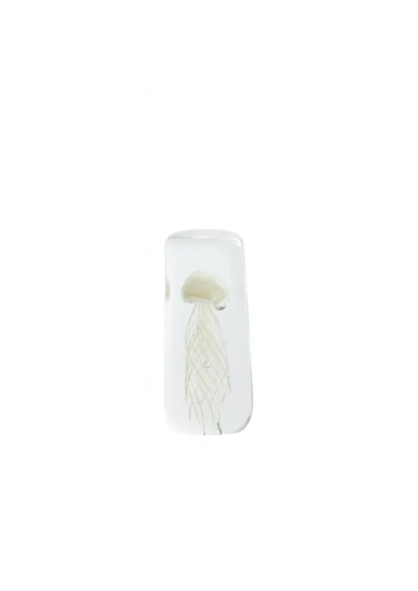 Ornament jellyfish