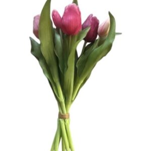 Tulpen fuchsia - 31 cm