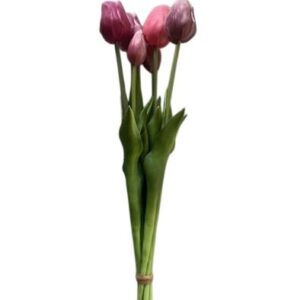 Tulpen fuchsia - 47 cm