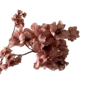 Bloesemtak oud roze